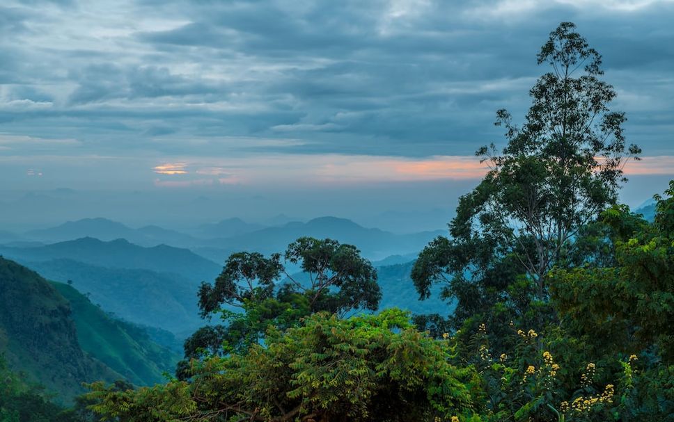 Outdoor view Photo
