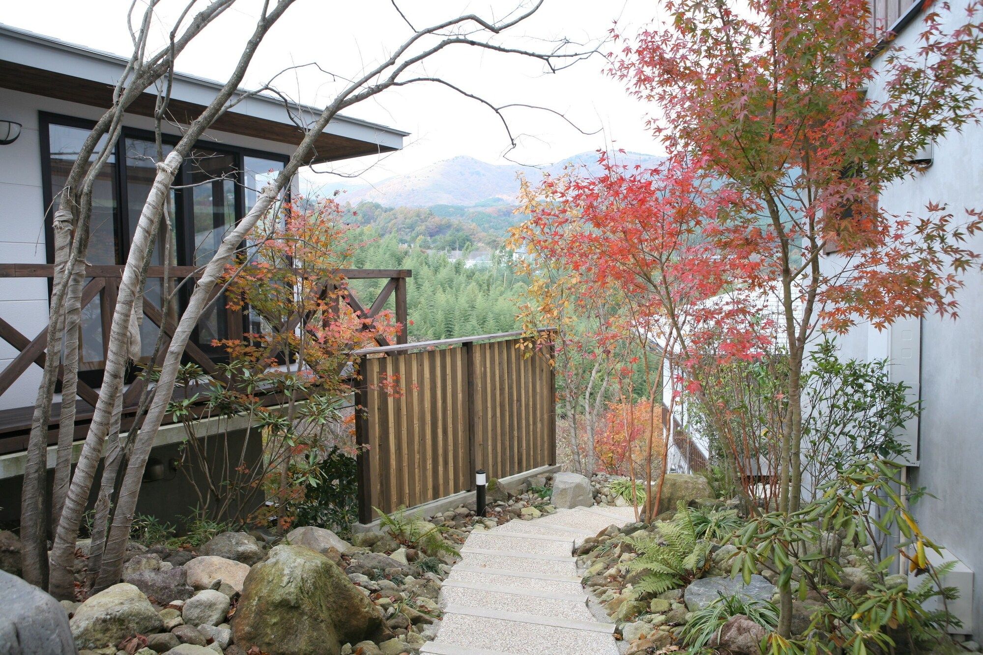 Outdoor view