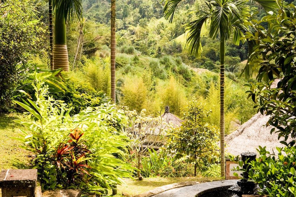 Outdoor view