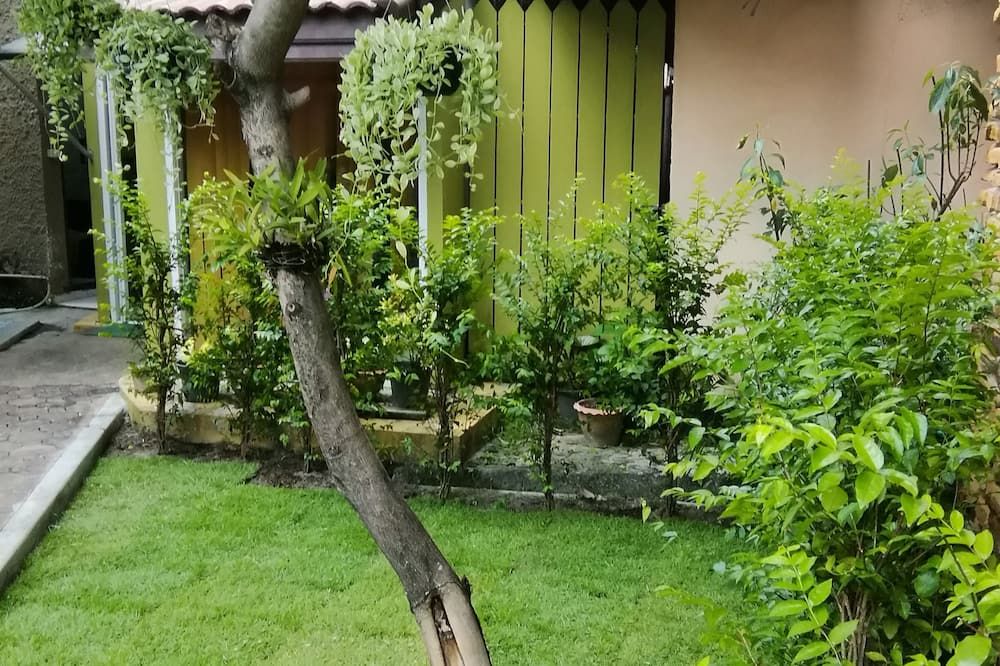 Outdoor view