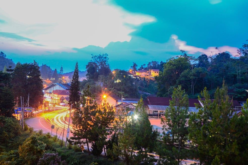 Outdoor view