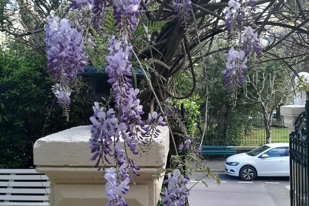 Outdoor view