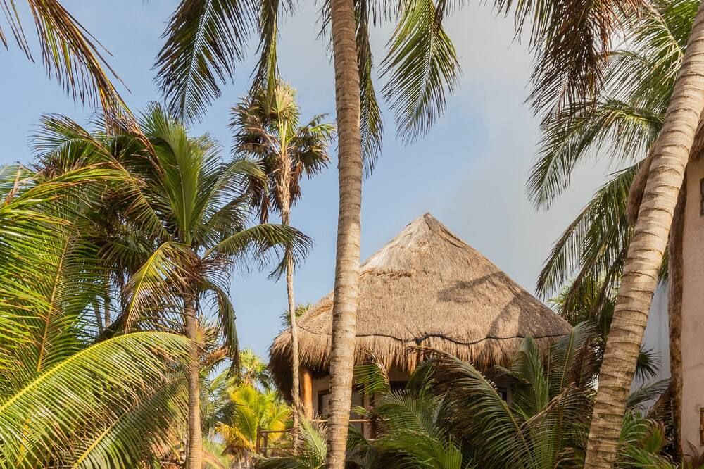 Outdoor view