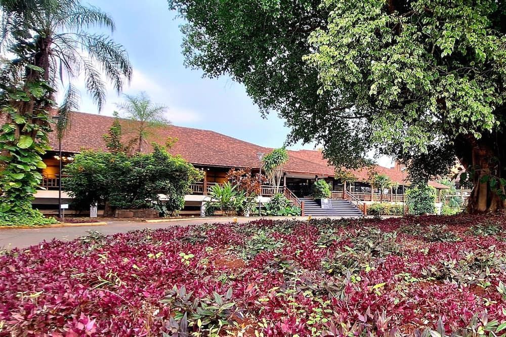 Outdoor view
