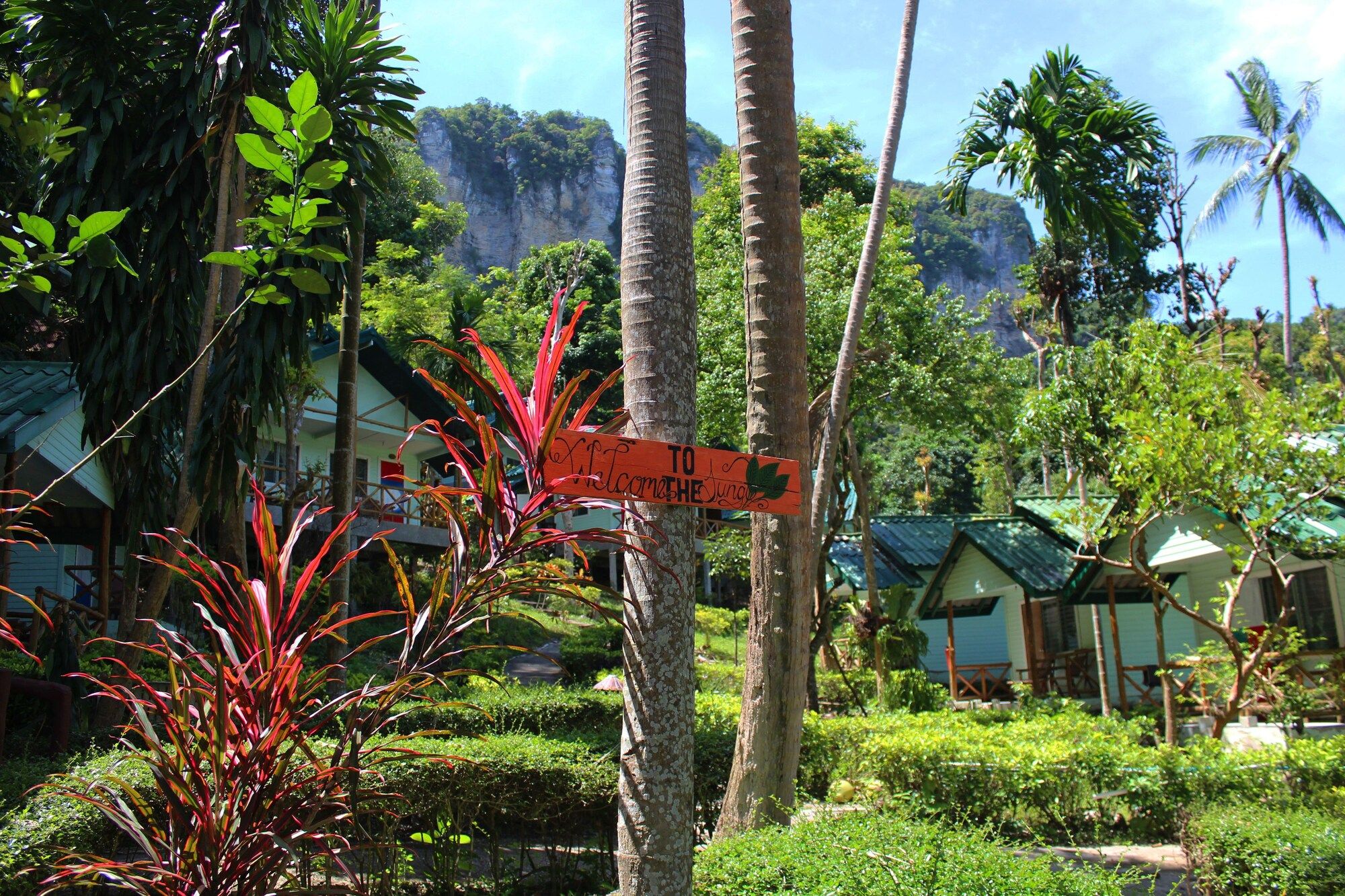 Outdoor view