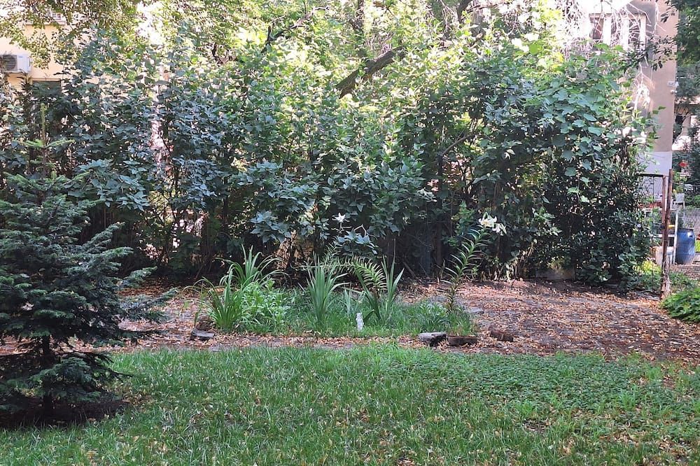 Outdoor view