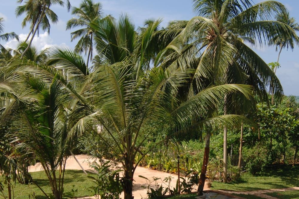 Outdoor view
