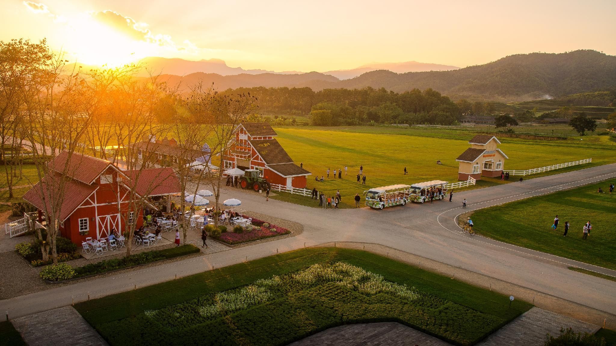 Outdoor view