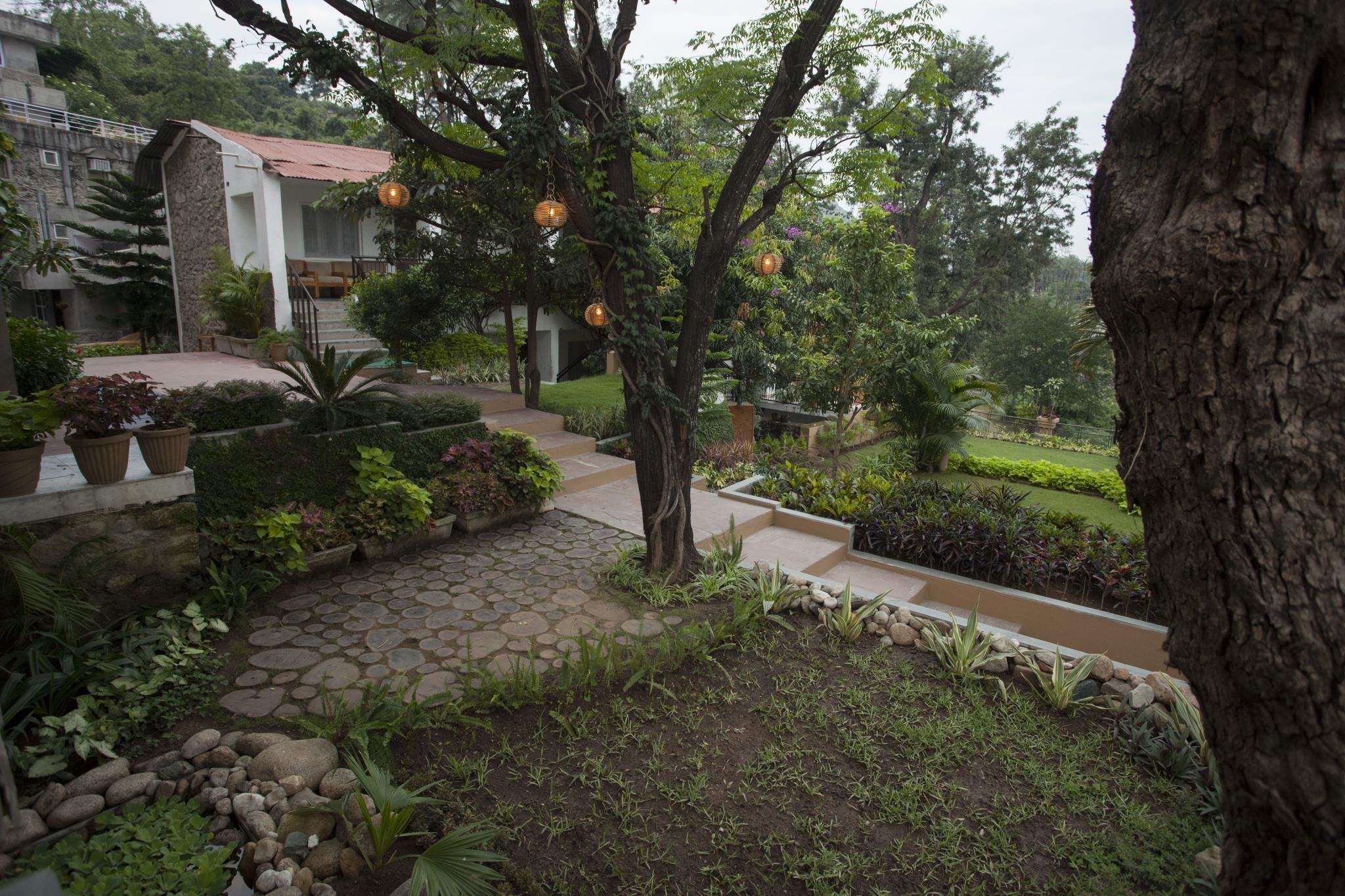 Outdoor view