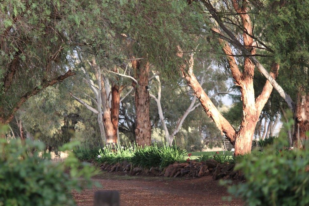 Outdoor view