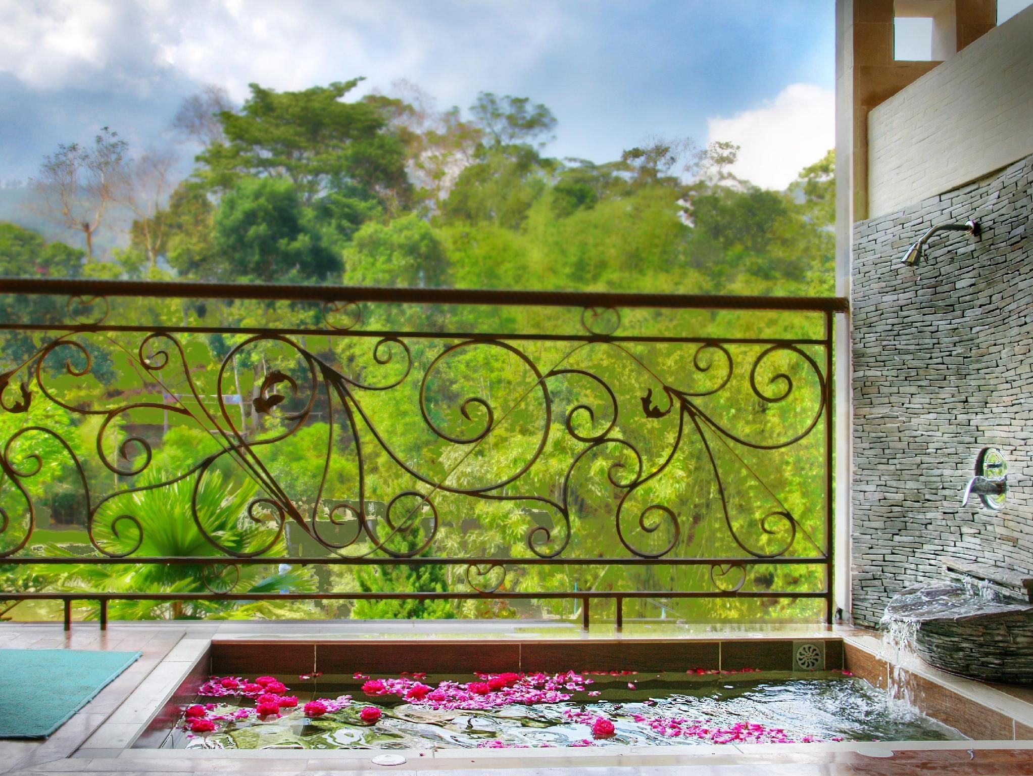 Outdoor view
