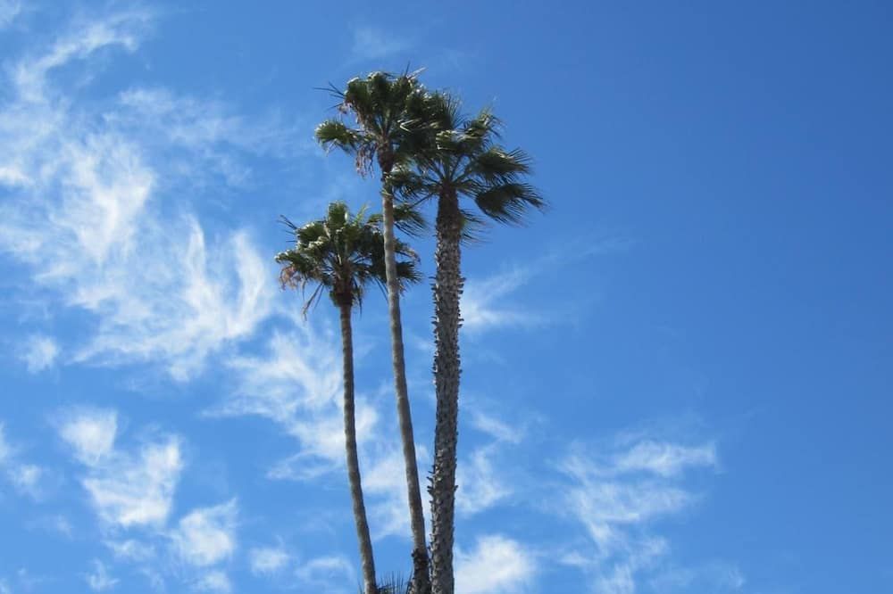 Outdoor view