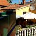 Outdoor view
