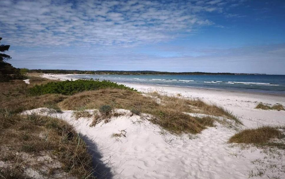 Beach Photo