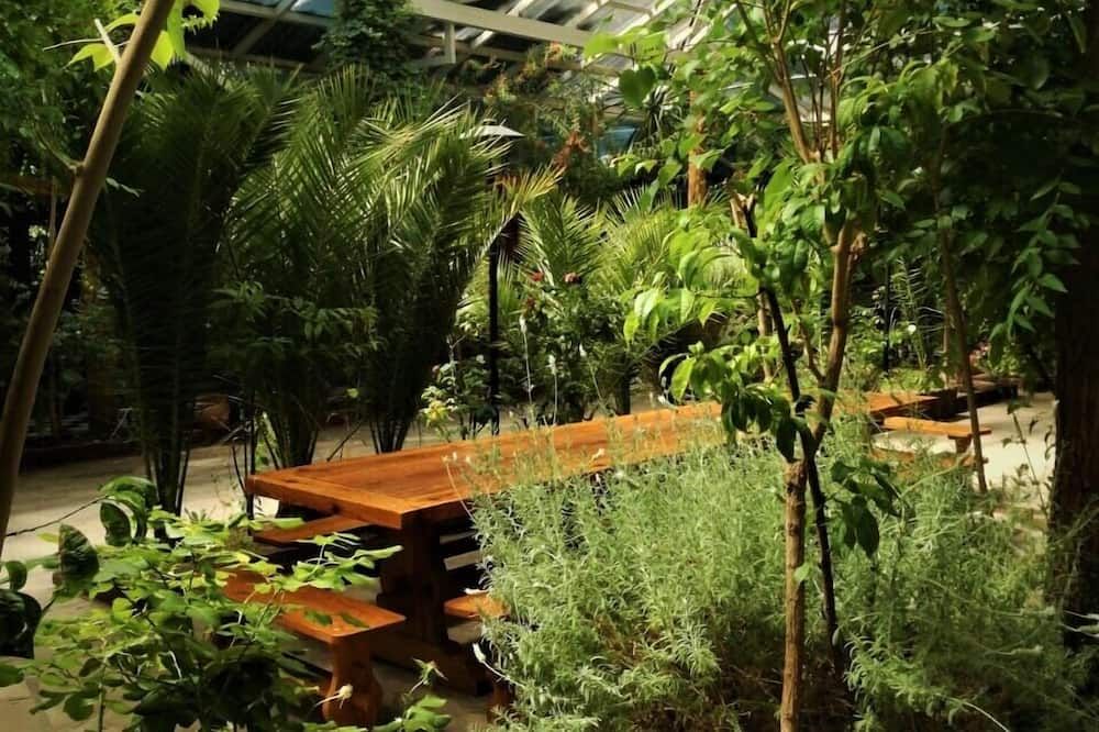 Outdoor view