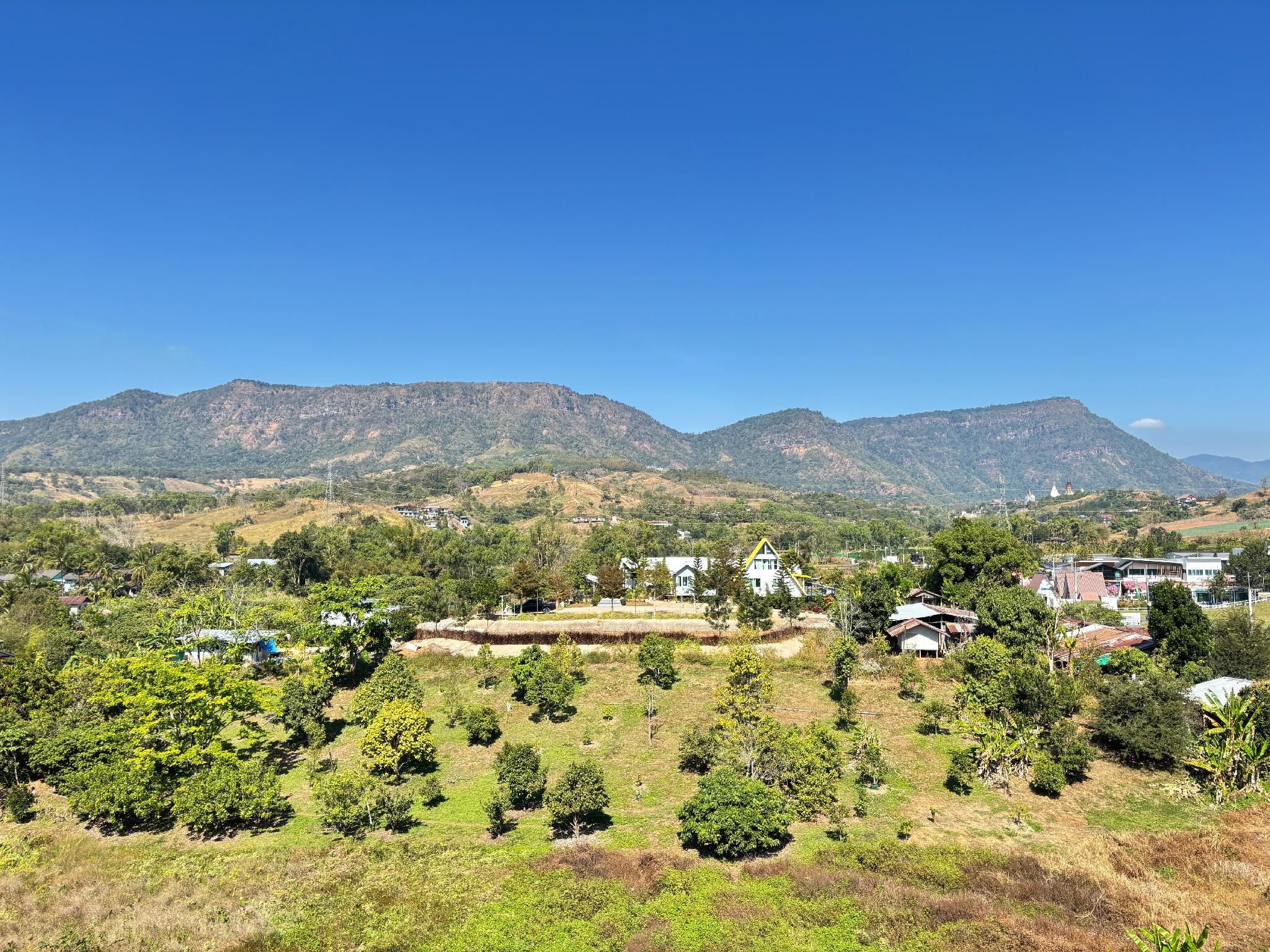Outdoor view