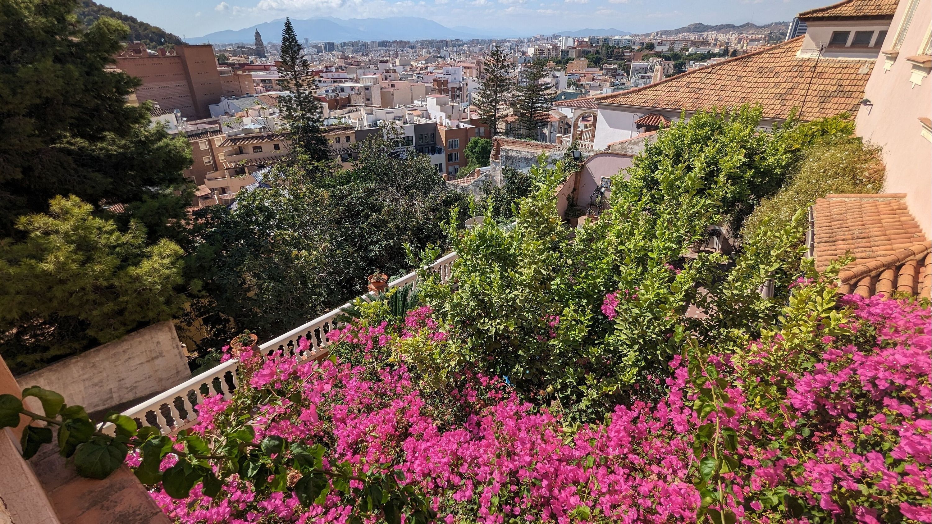 Outdoor view