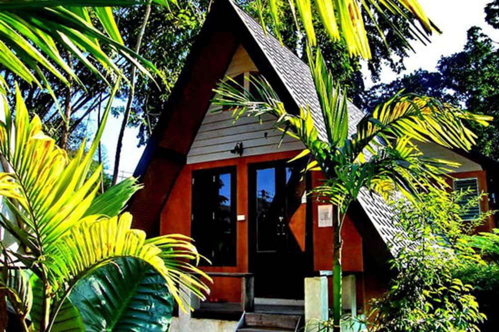 Outdoor view