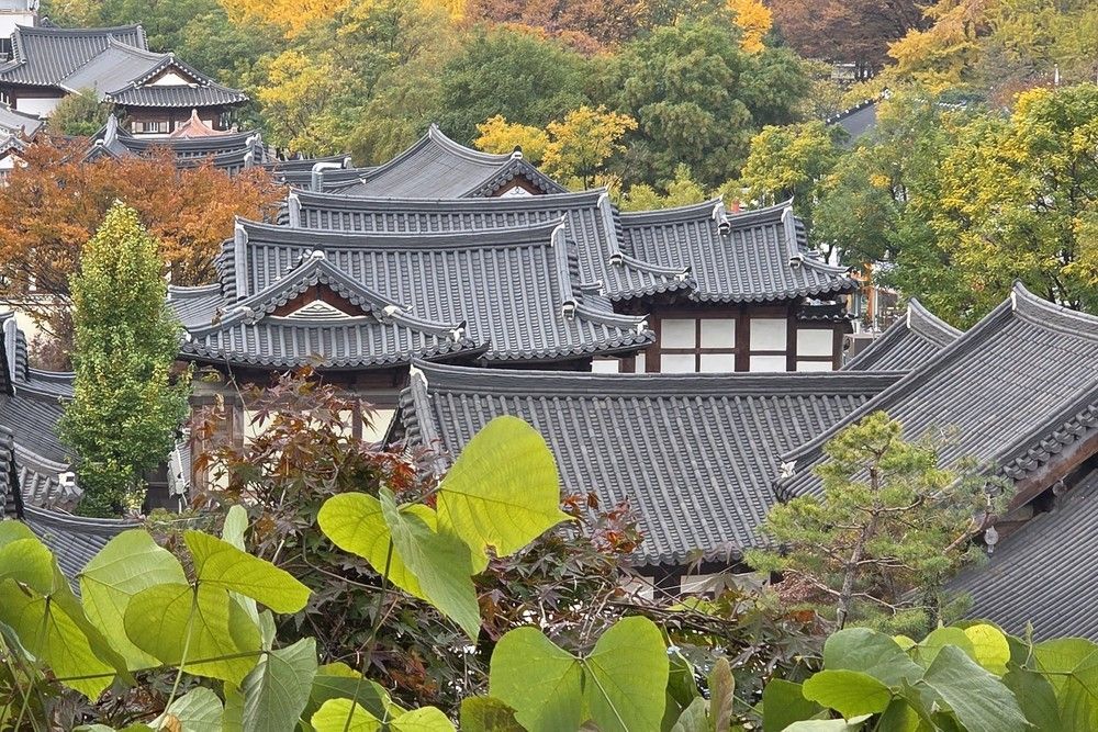 Outdoor view