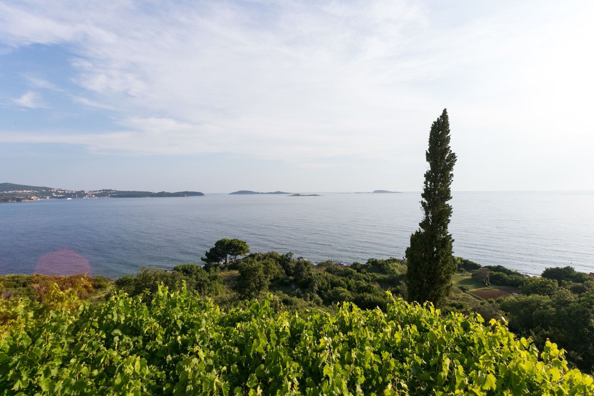 Outdoor view