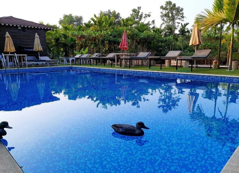 Pool Photo