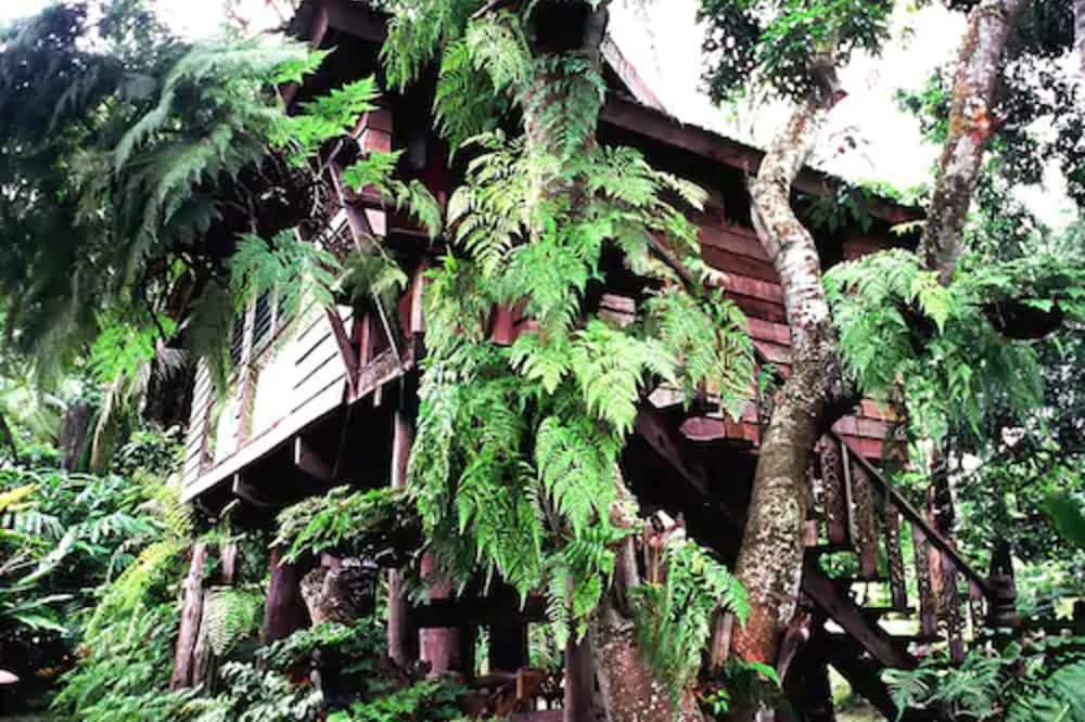 Outdoor view