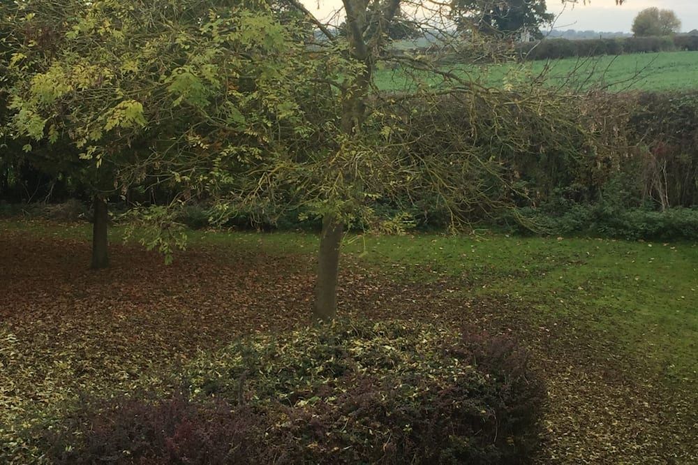 Outdoor view