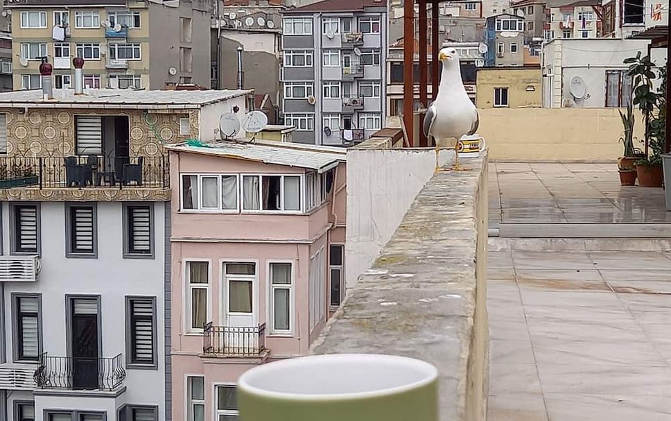 Outdoor view Photo