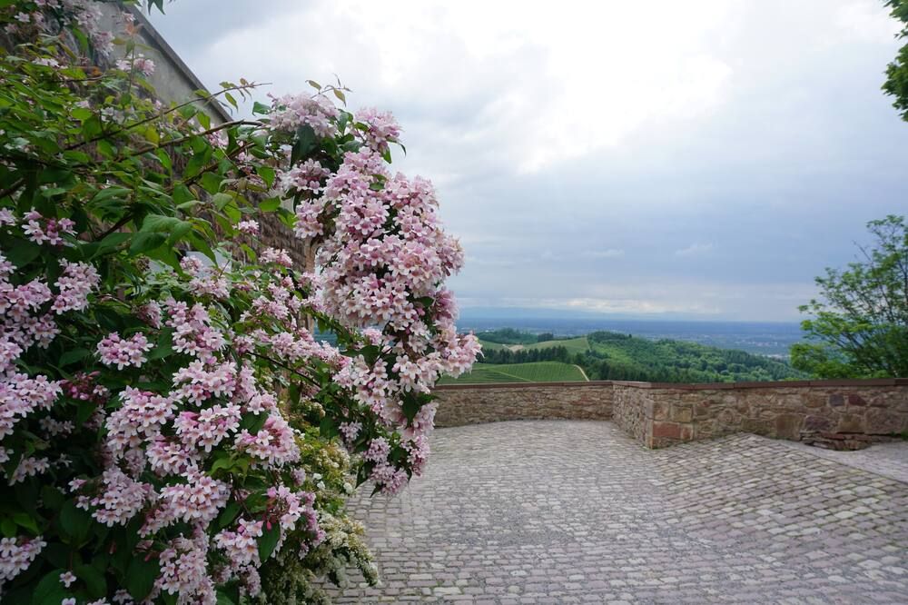 Outdoor view