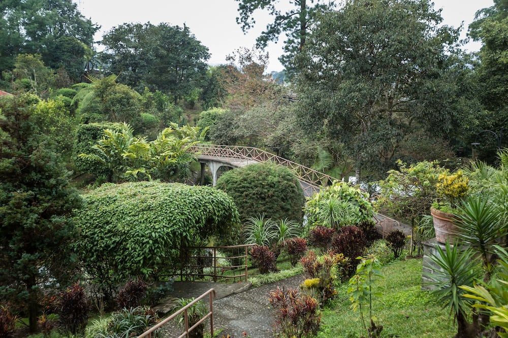 Outdoor view