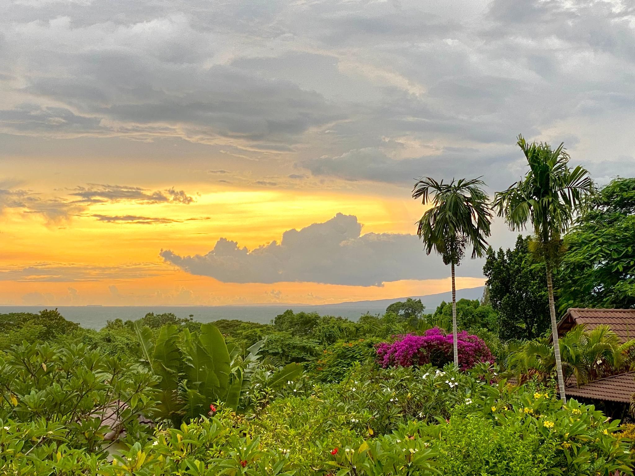 Outdoor view