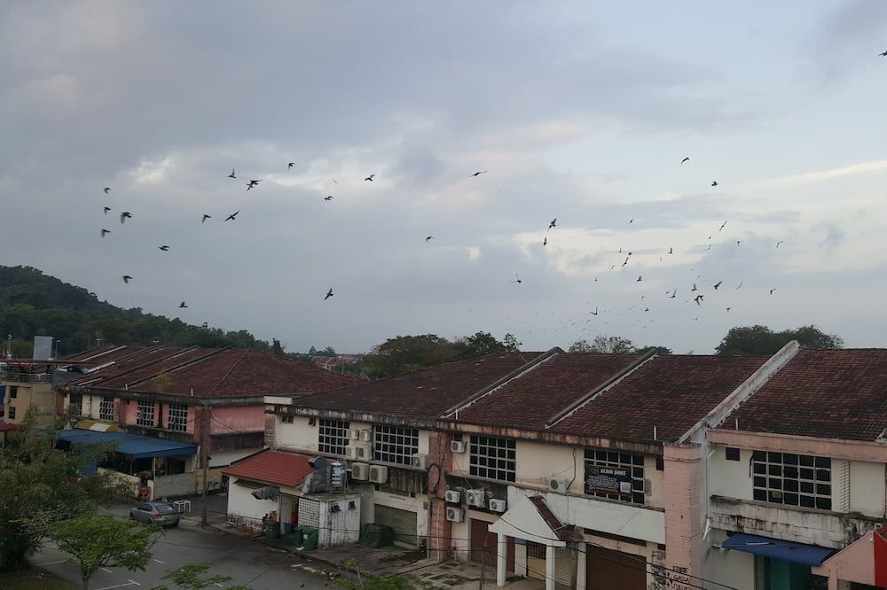 Outdoor view