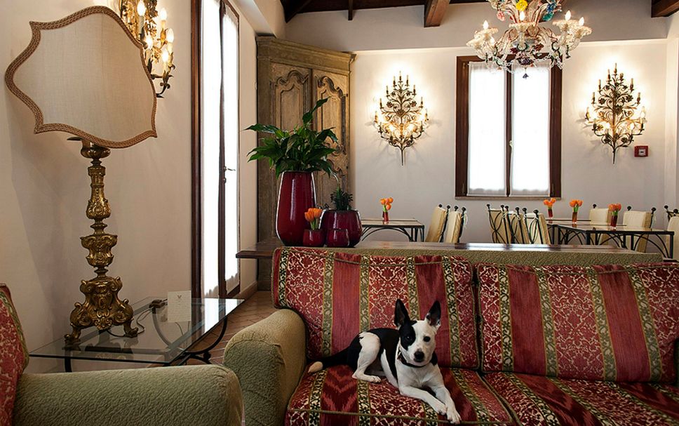 Hotel amenity Photo