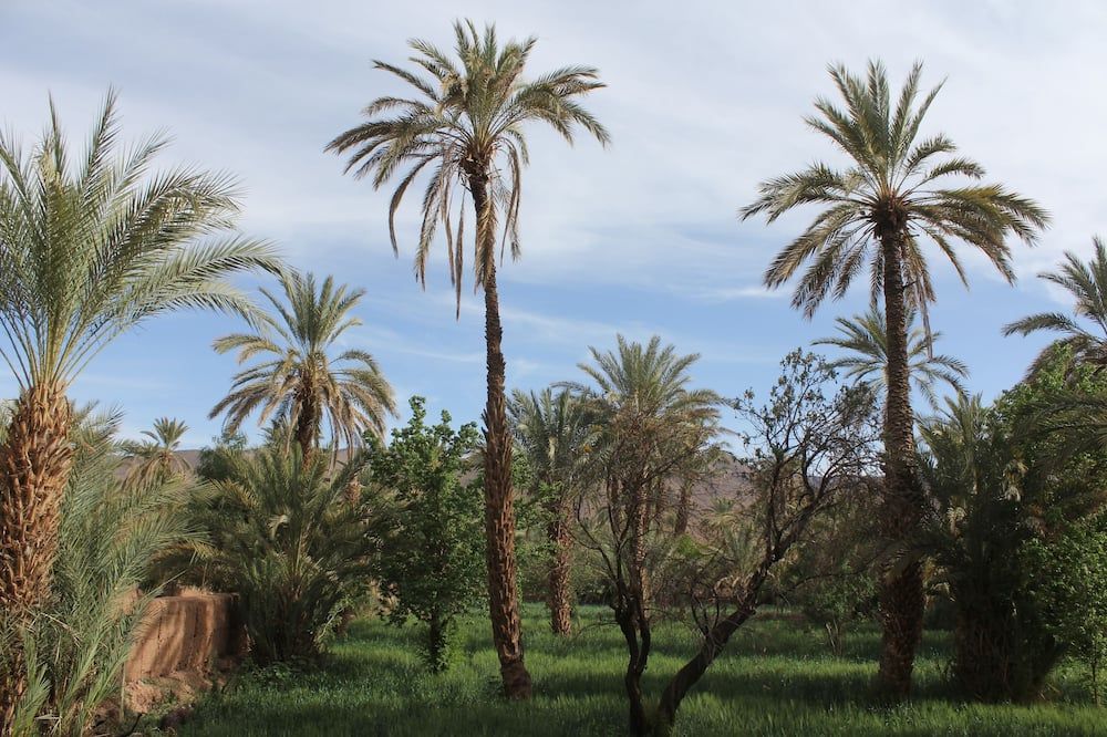 Outdoor view