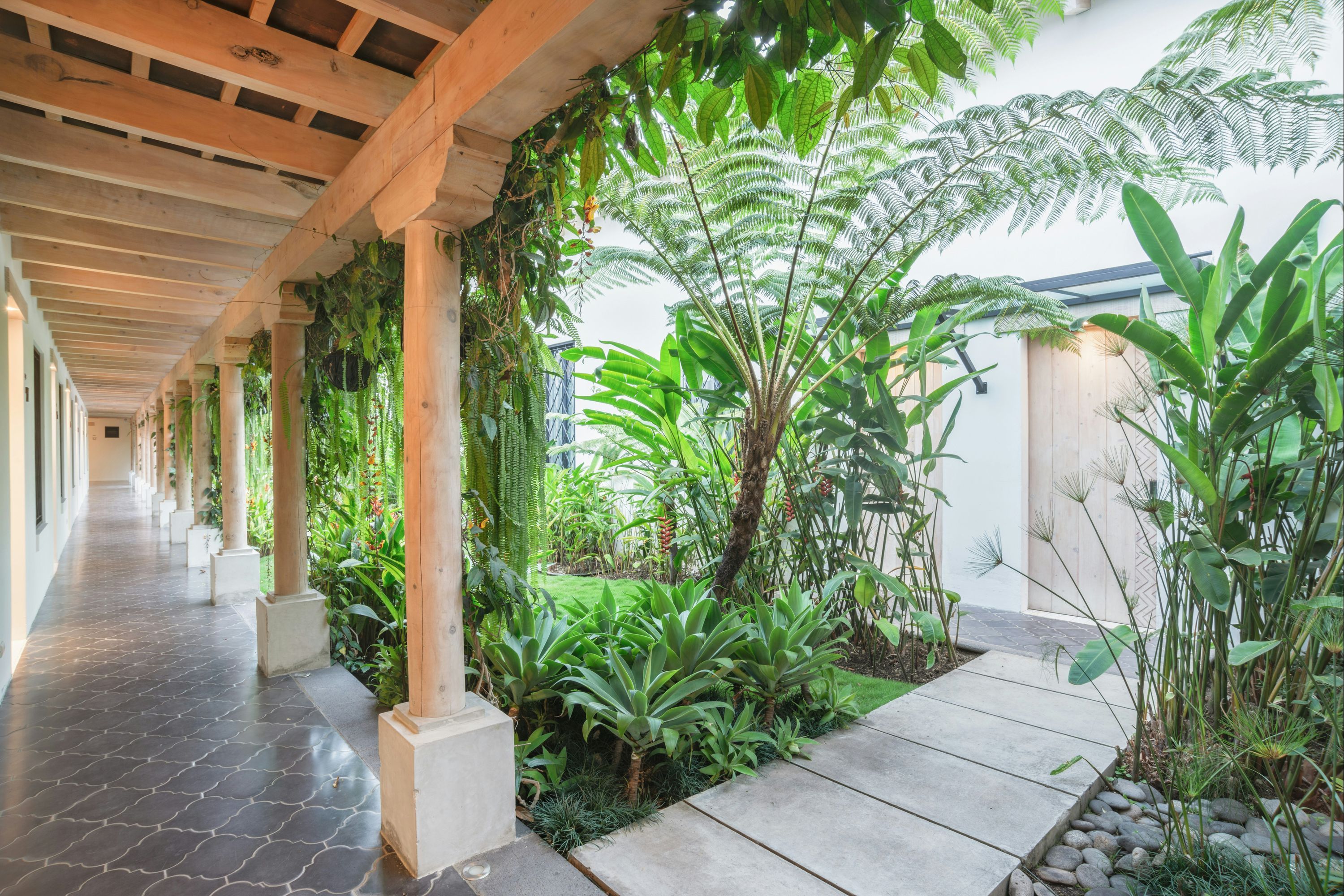 Outdoor view