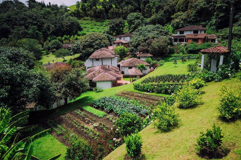 Outdoor view
