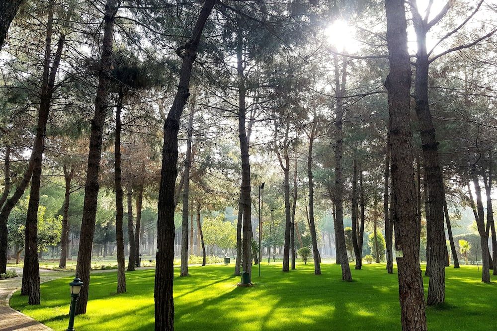 Outdoor view