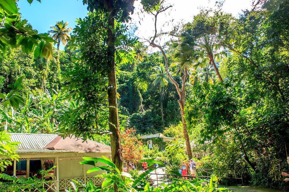 Outdoor view