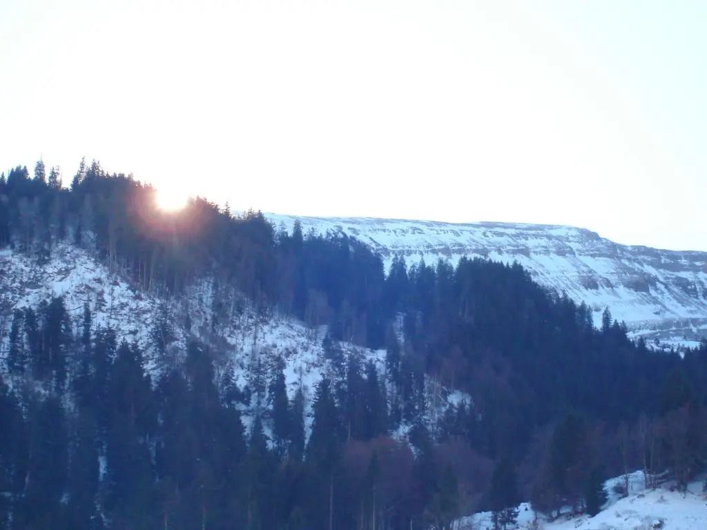 Outdoor view