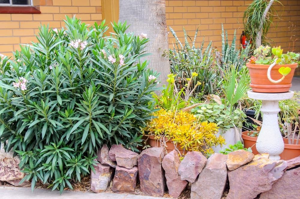 Outdoor view