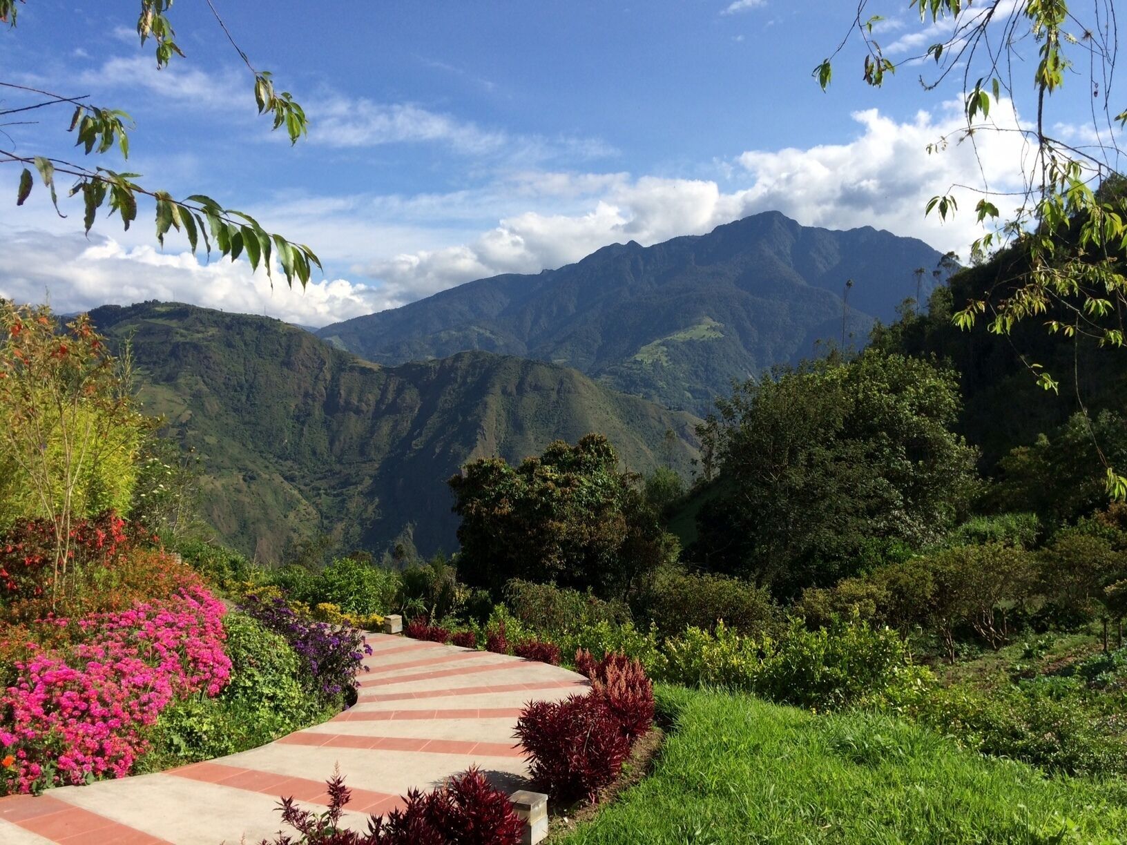 Outdoor view