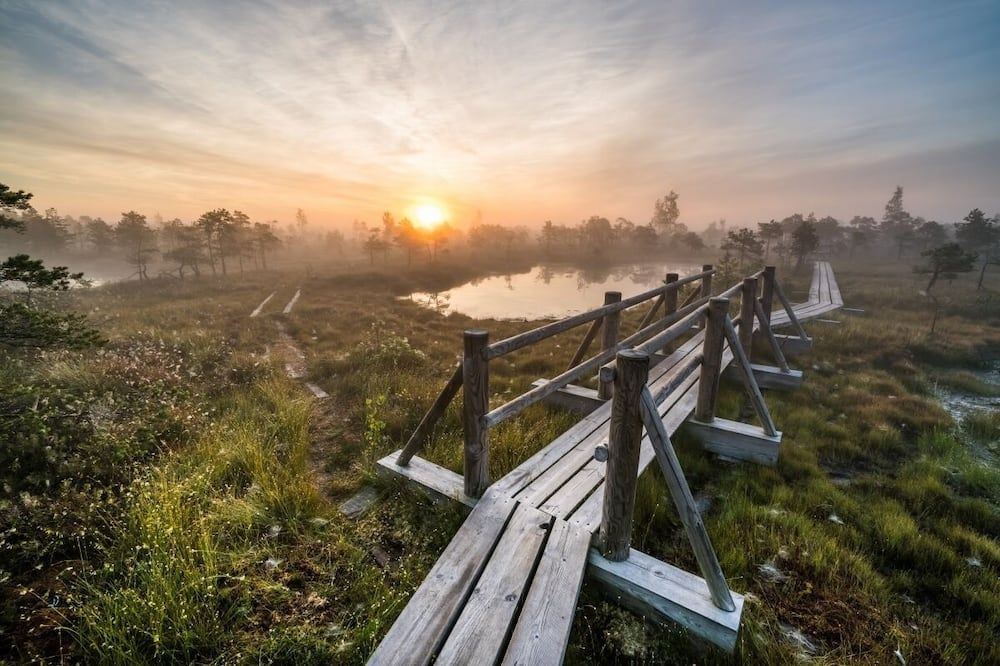 Outdoor view