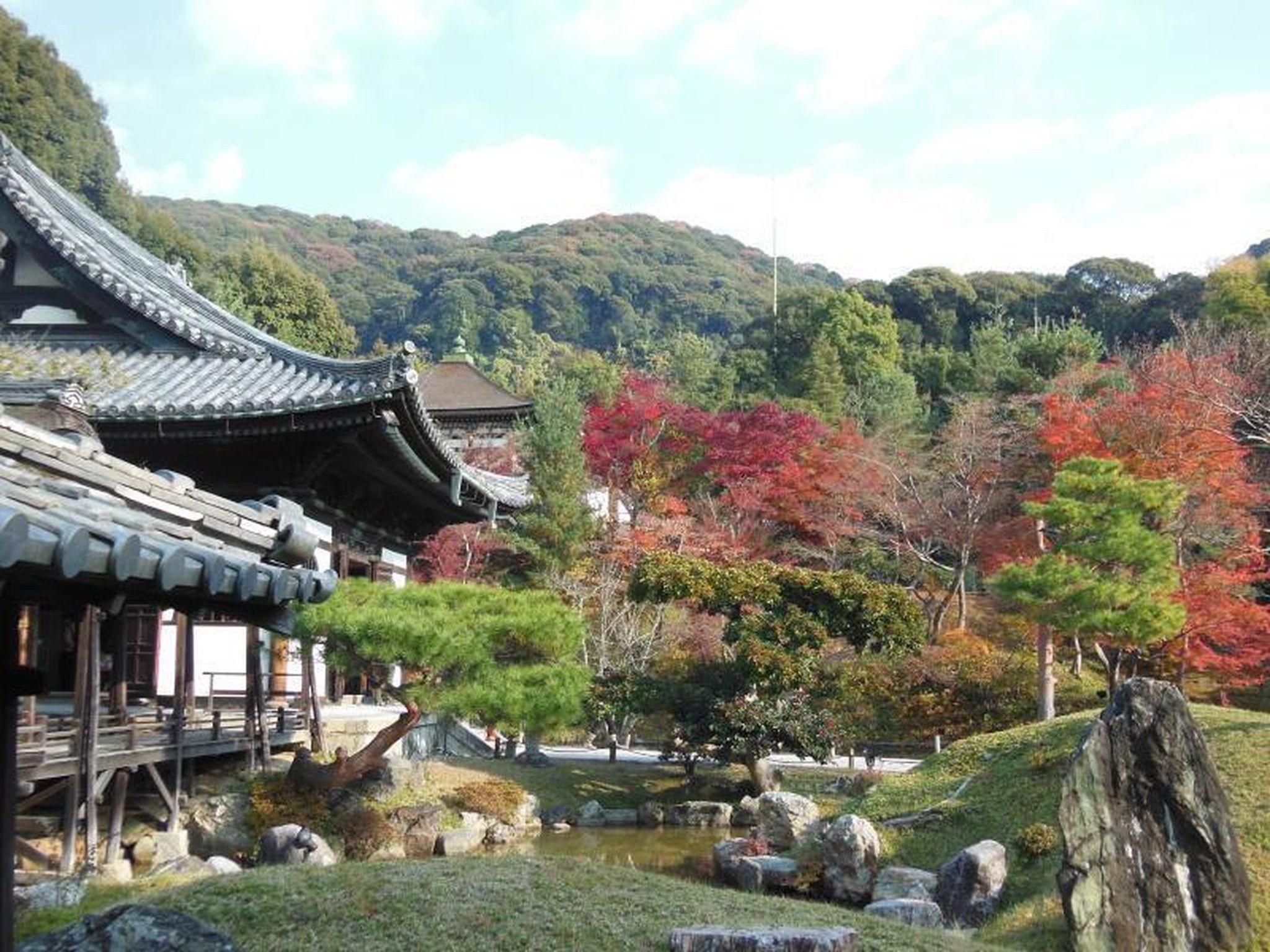 Outdoor view