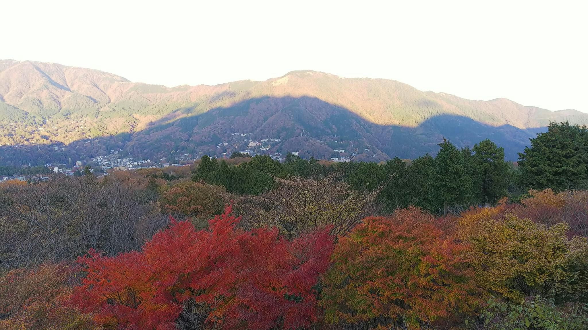 Outdoor view
