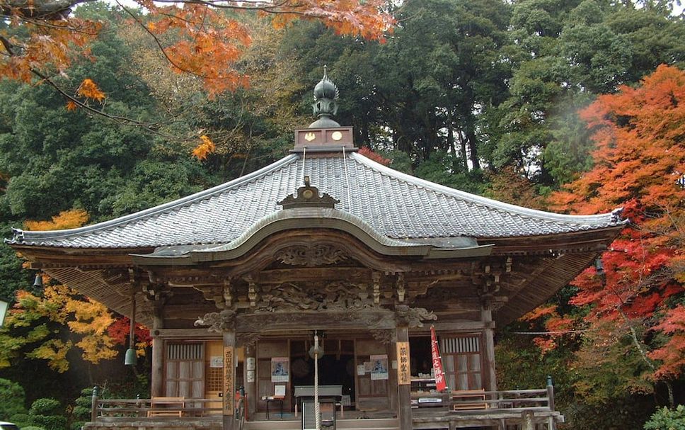 Other Photo
