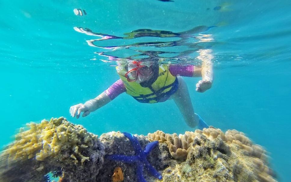 Other Photo