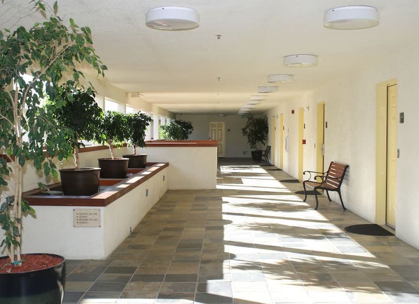 Decor Photo