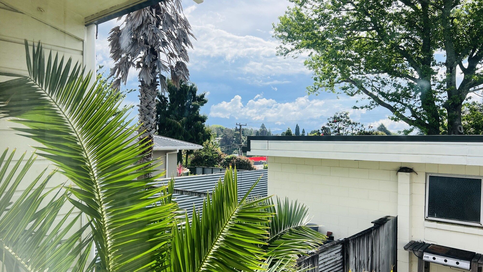 Outdoor view