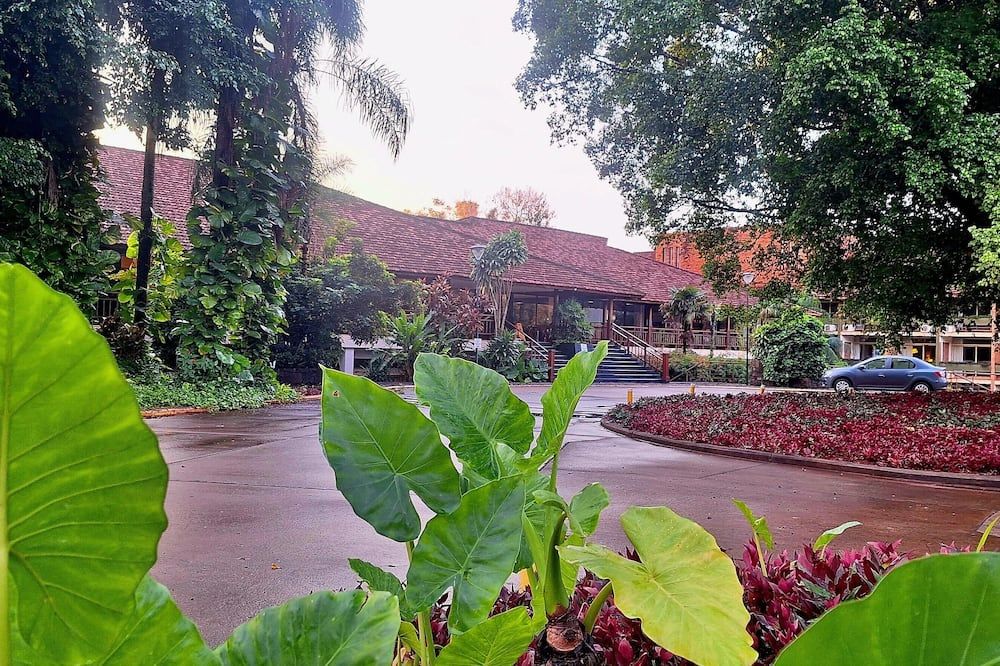 Outdoor view