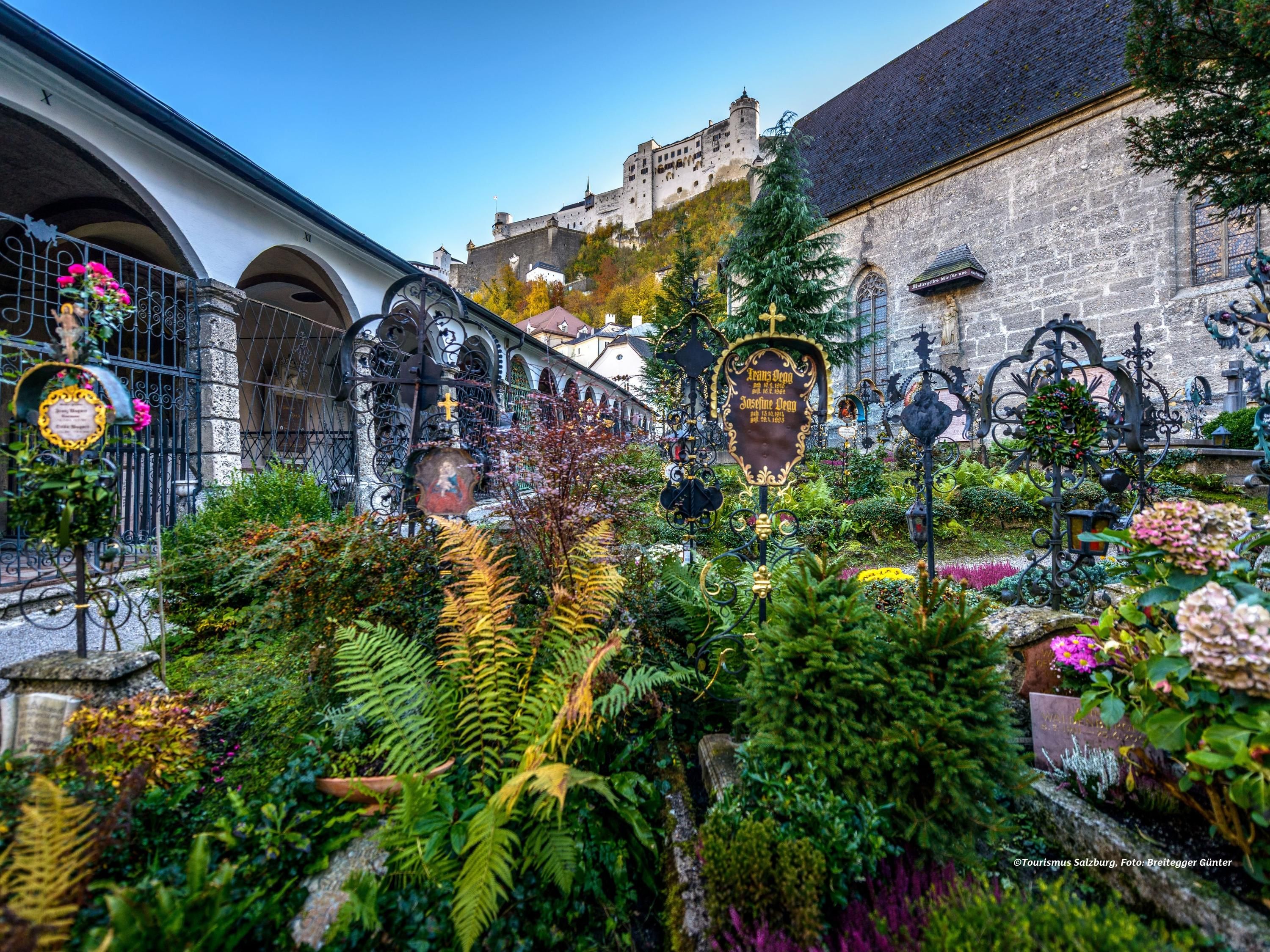 Outdoor view